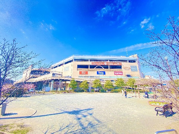 八千代田公園(マンションに囲まれた広い公園。滑り台やブランコがありお子様も楽しめそう。春は桜が綺麗に咲きます。)