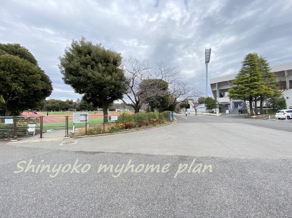 三ッ沢公園(国体やオリンピックにも使われた歴史ある運動公園。Ｊリーグの試合も行われ、桜の名所としても有名です。)