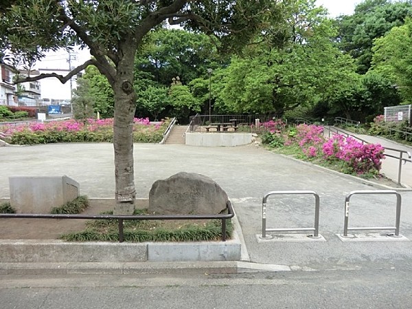 渋沢金井公園(緑が多く木漏れ日を楽しめる公園。紫陽花が綺麗です。すべり台、ブランコ等の遊具があり親子で楽しめます。)