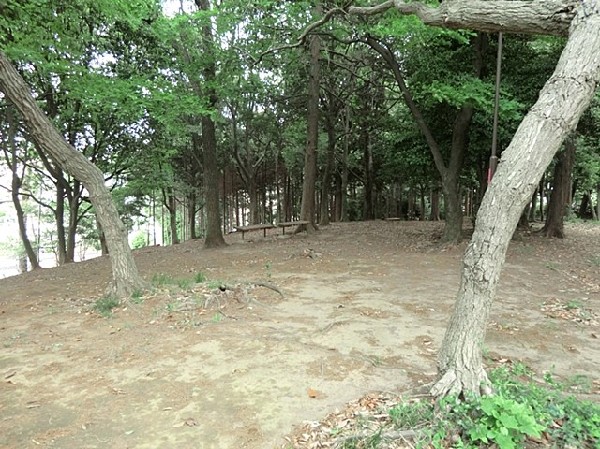 馬場二丁目公園(馬場花木園に隣接する緑豊かな公園。しいやカシの木の大木があり、どんぐり山公園の愛称で親しまれている。)