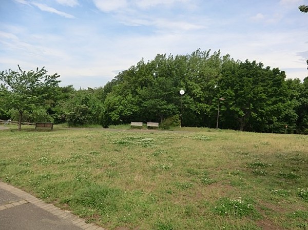 上星川あおぞら公園(ターザンロープや複合遊具、広場がある公園。森のエリアには吊り橋も。見晴らし台からの富士山が綺麗です。)