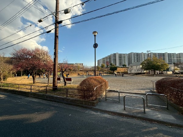 長津田宮ノ前第二公園(緑道沿いにある公園で、近くに小川が流れています。広場や複合遊具があり、小さお子様も楽しめます。)