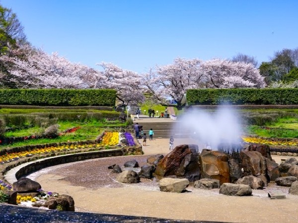 四季の森公園(季節によって様々な野花が咲き誇る大規模公園。ジャンボ滑り台や水遊びのできる池がファミリーに人気です。)