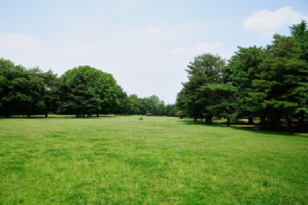 野川公園(調布市・小金井市・三鷹市の3市にわたる、約40万平方メートルの広大な都立公園です。)