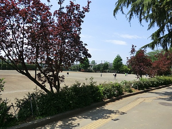 上水公園(グランドでは、野球・ソフトボール・サッカー・ゲートボールなどが出来ます。テニスコートはクレーコートで2面有ります。)