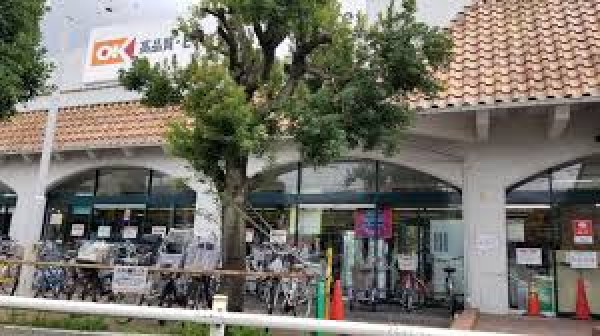 オーケーひばりが丘店